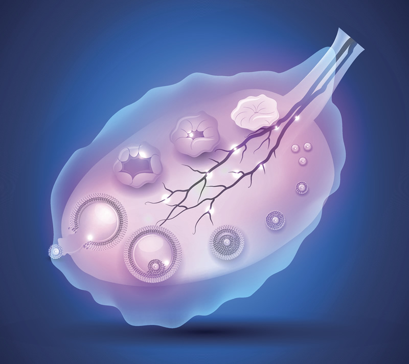 为什么很多人舍近求远去长沙做试管？揭秘&ldquo;试管湘军&rdquo;的真实实力